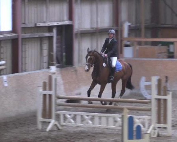 Hallenturnier Springe 2015