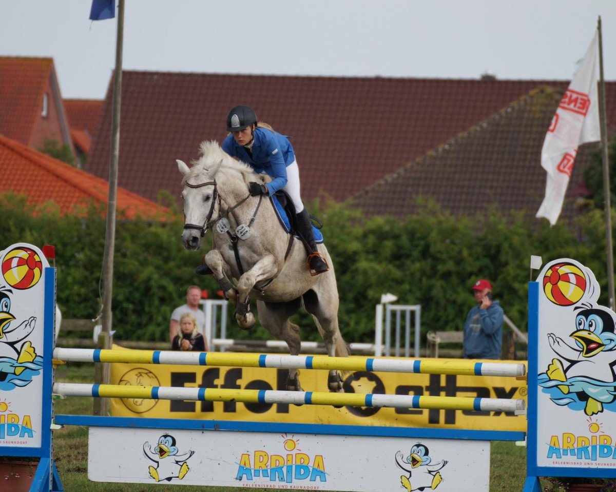 Springpferd Naturo (Holsteiner, 2006, von Nekton)