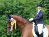 dressage horse Cornadinho (Westphalian, 2007, from Cornado NRW)