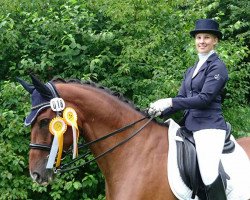 dressage horse Cornadinho (Westphalian, 2007, from Cornado NRW)