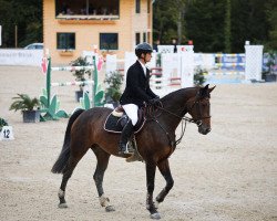 jumper Bella Balou (Hanoverian, 2009, from Canstakko)