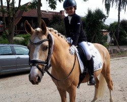 dressage horse Hilkens Dancing Gold (German Riding Pony, 2014, from Dreidimensional AT NRW)