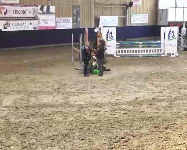 Hallenspringturnier Weilheim/Teck 2015