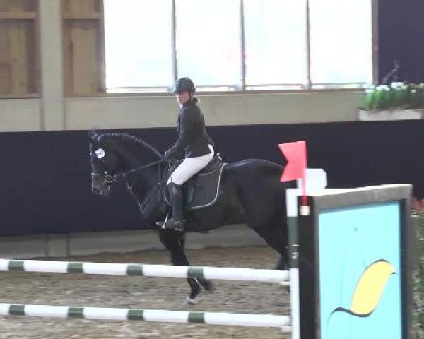 Hallenspringturnier Weilheim/Teck 2015