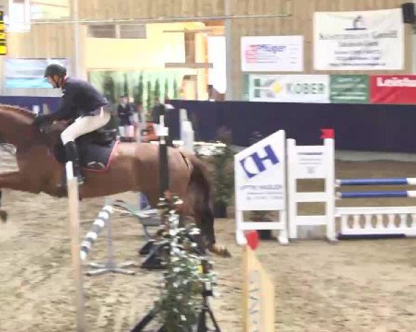 Hallenspringturnier Weilheim/Teck 2015