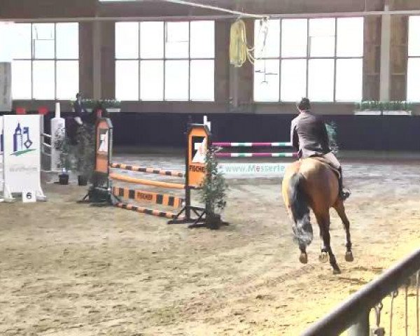 Hallenspringturnier Weilheim/Teck 2015