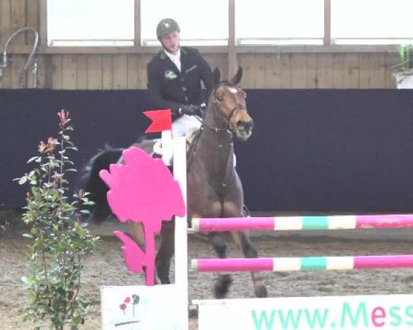 Hallenspringturnier Weilheim/Teck 2015