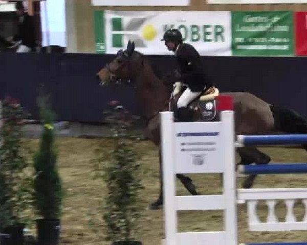 Hallenspringturnier Weilheim/Teck 2015