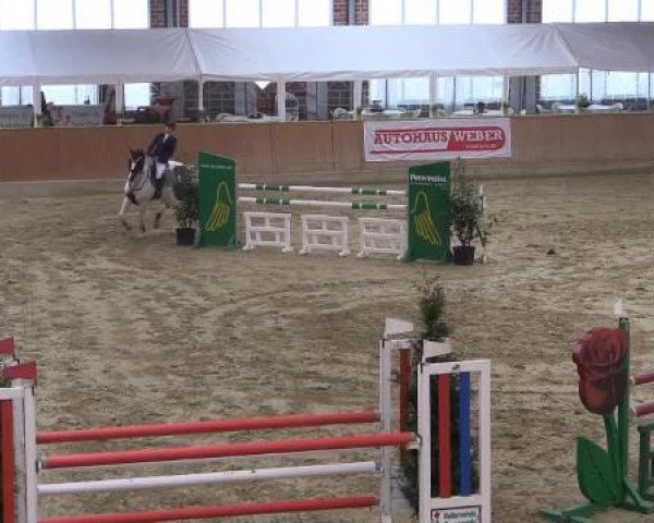 Rosendorf Classics 2015