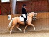 dressage horse Oranjehof’s Greta Garbo (German Riding Pony, 2017, from Dating At NRW)