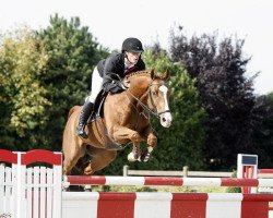 jumper Zidane X (KWPN (Royal Dutch Sporthorse), 2004, from Sydney)