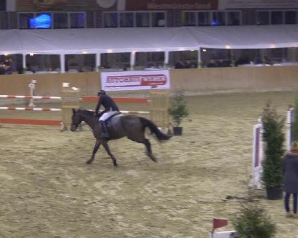 Rosendorf Classics 2015