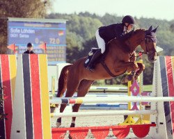 jumper Sanza (Hanoverian, 2017, from Stolzenberg)