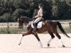 dressage horse Wallner 4 (Westphalian, 2013, from Wolken-Hit)