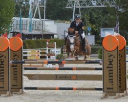 Springpferd Diamant de Quincey (Französisches Pony, 2013, von Hunter's Scendix)