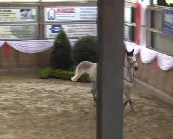 Spring-Event Goch 2015