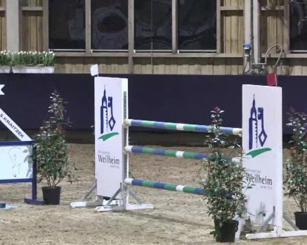Hallenspringturnier Weilheim/Teck 2015