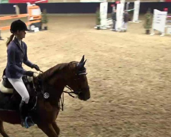 Hallenspringturnier Weilheim/Teck 2015