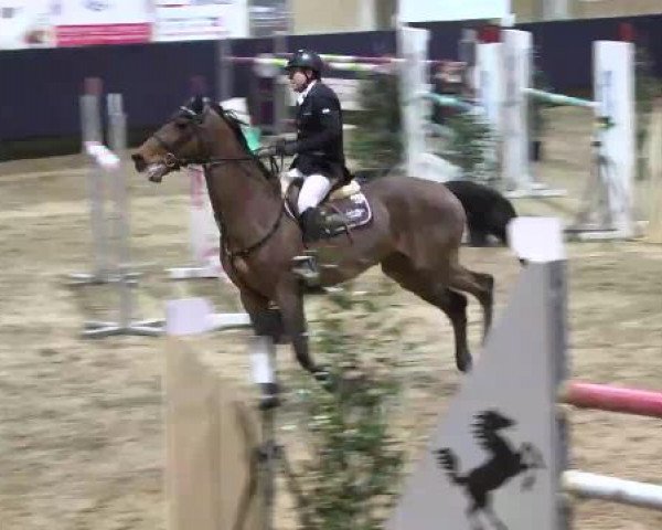 Hallenspringturnier Weilheim/Teck 2015