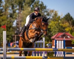 jumper Hyperion (KWPN (Royal Dutch Sporthorse), 2012, from Indoctro)