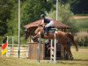 dressage horse Sansibar 129 (Oldenburg, 2012, from Sarkozy 3)