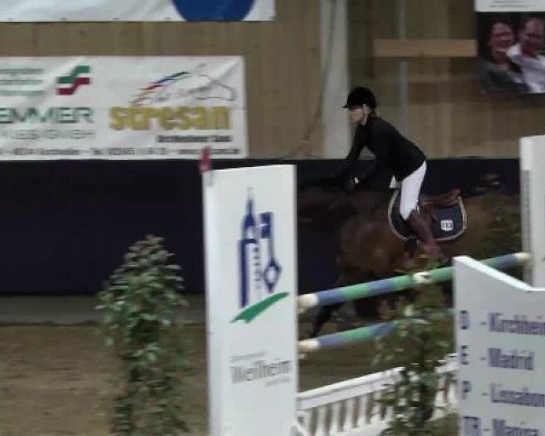 Hallenspringturnier Weilheim/Teck 2015