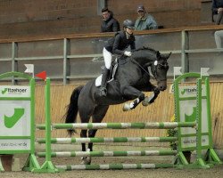 Springpferd Ladylot (Dänisches Warmblut, 2012, von Sir Lancelot M)