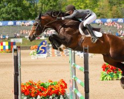 stallion Dulf van den Bisschop (Belgian Warmblood, 2003, from Heartbreaker)