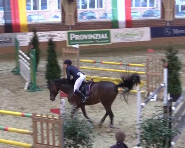Rosendorf Classics 2015