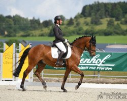 dressage horse Balduin Le Beau (Hanoverian, 2012, from Bonifatius)