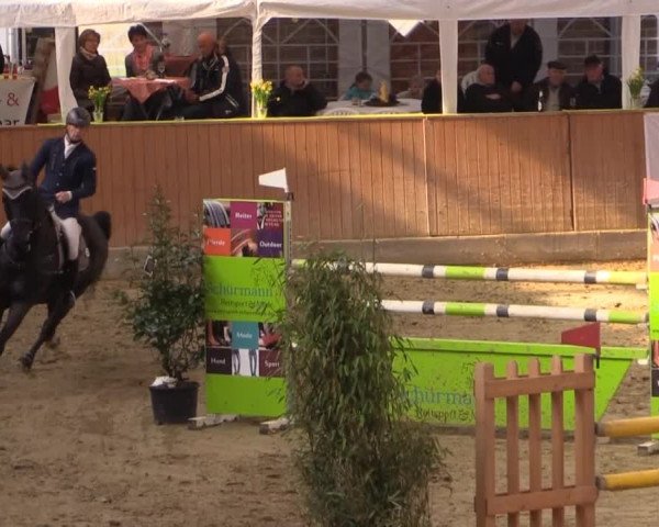 Rosendorf Classics 2015