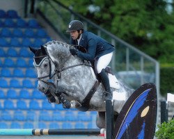 jumper Cadillac (Hanoverian, 2010, from Corlensky G)