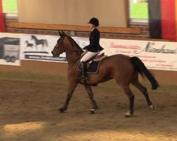 Rosendorf Classics 2015