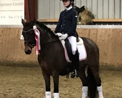 dressage horse Zöthens Colina (German Riding Pony, 2010, from Nemax)