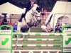 jumper Concaster (Hanoverian, 2011, from Contendros 2)