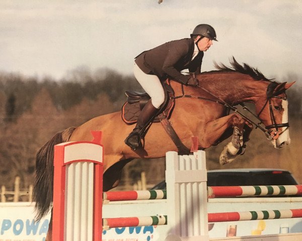 broodmare Scarlett du Rouet (Oldenburg show jumper, 2006, from Balou du Rouet)