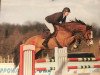 broodmare Scarlett du Rouet (Oldenburg show jumper, 2006, from Balou du Rouet)