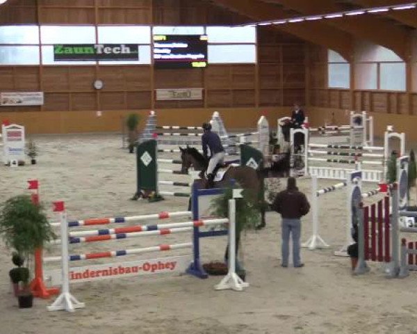 Hallenspringturnier Xanten - Reitanlage Miß 2015