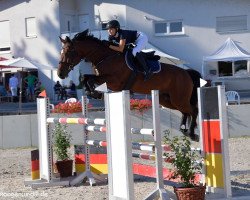 Springpferd Champion On Fire (Bayer, 2012, von Clearline Z)