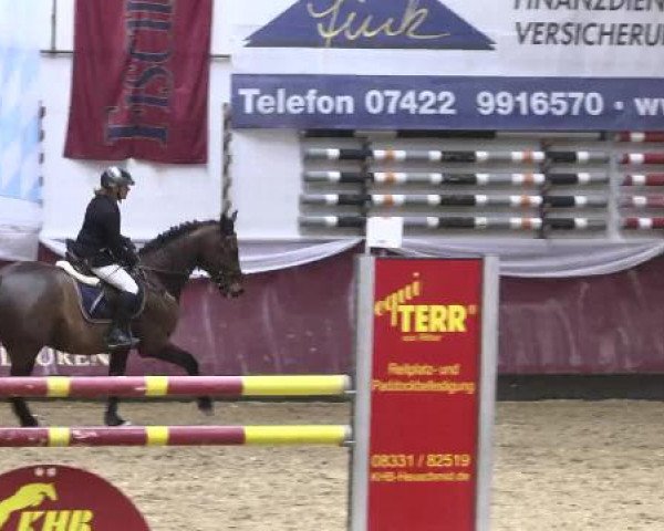 Springturnier Reiterhof Laurent 2015