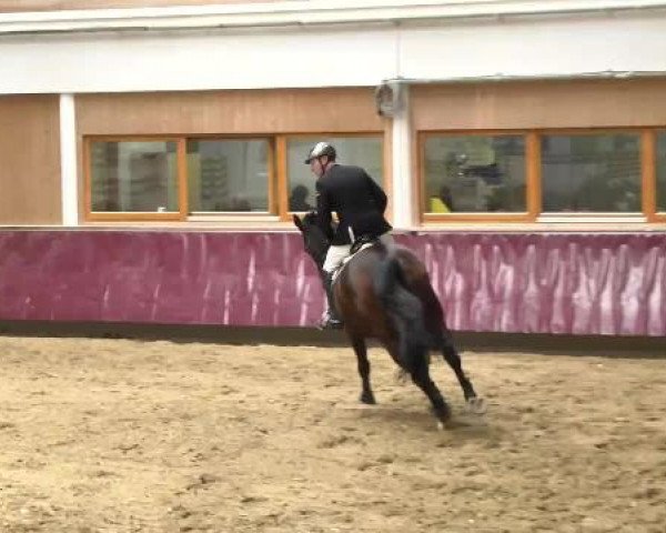 Springturnier Reiterhof Laurent 2015