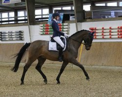 dressage horse Rock Fever (Bavarian, 2009, from Rock Forever NRW)