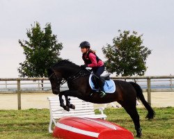 broodmare Palisa (German Riding Pony, 1997, from Troubadour)