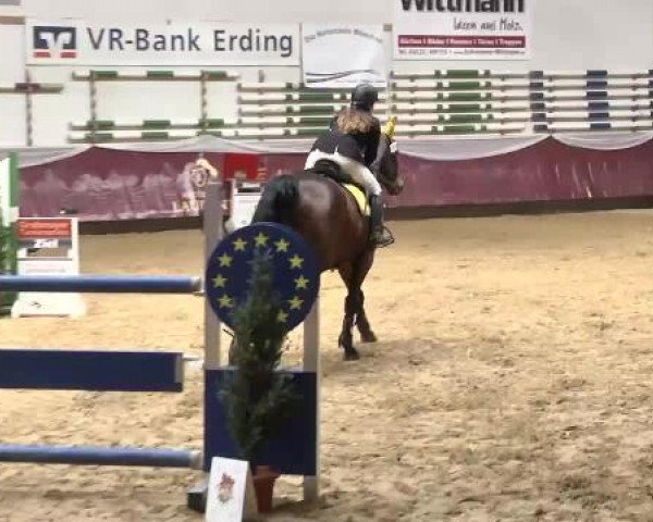 Springturnier Reiterhof Laurent 2015