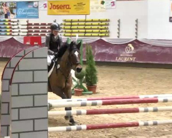 Springturnier Reiterhof Laurent 2015