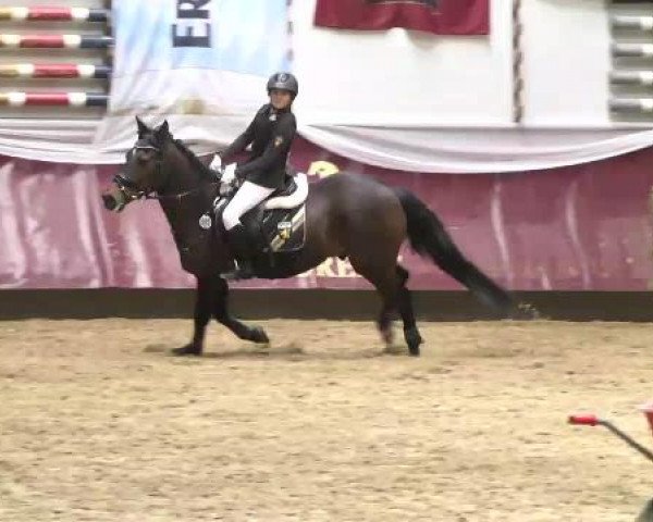 Springturnier Reiterhof Laurent 2015
