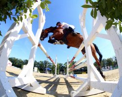 jumper Sterro (Finnish Warmblood, 2014, from Stenograph)