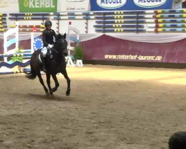 Springturnier Reiterhof Laurent 2015