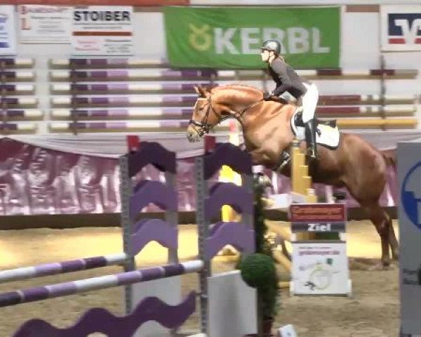 Springturnier Reiterhof Laurent 2015