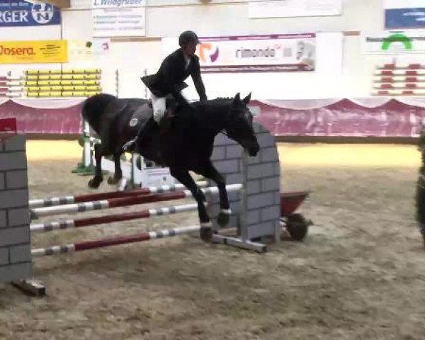 Springturnier Reiterhof Laurent 2015